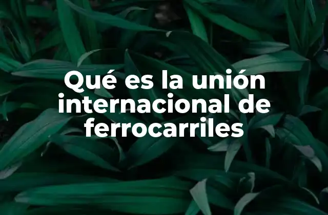 Qué es la Unión Internacional de Ferrocarriles