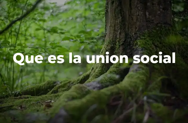 Que es la Union Social