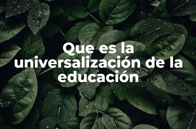 Que es la Universalización de la Educación