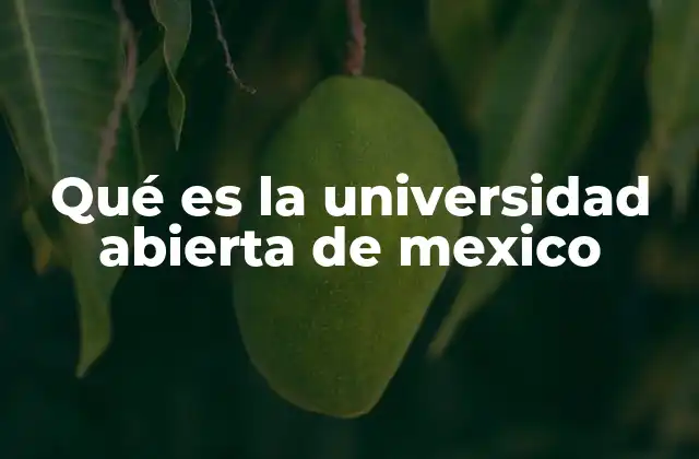 Qué es la Universidad Abierta de Mexico 2 Un modelo educativo para todos