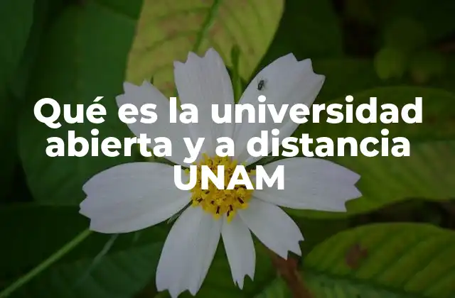 Qué es la Universidad Abierta y a Distancia Unam