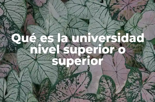 Qué es la Universidad Nivel Superior o Superior 2 El rol de la educación universitaria en la formación integral