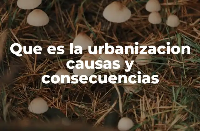 Que es la Urbanizacion Causas y Consecuencias
