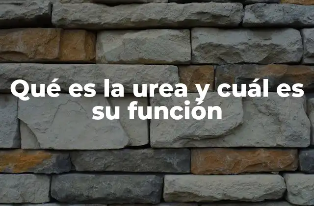 Qué es la Urea y Cuál es Su Función