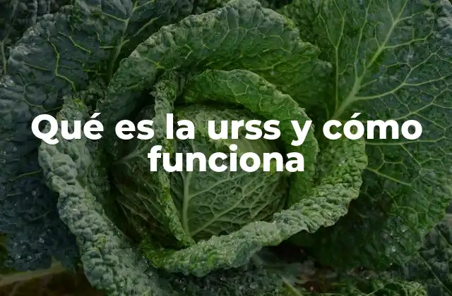 Qué es la Urss y Cómo Funciona