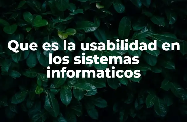 Que es la Usabilidad en los Sistemas Informaticos