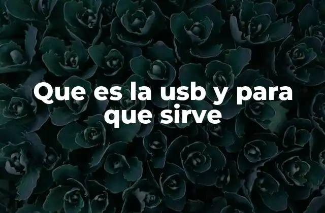 Que es la Usb y para que Sirve