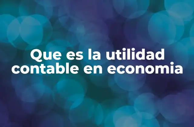 Que es la Utilidad Contable en Economia