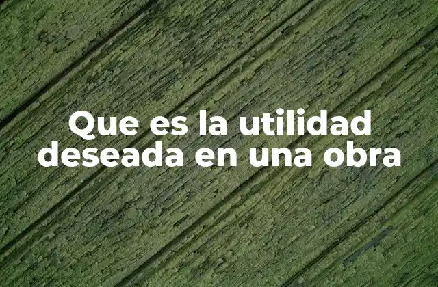 Que es la Utilidad Deseada en una Obra