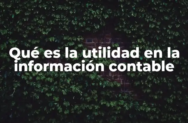 Qué es la Utilidad en la Información Contable