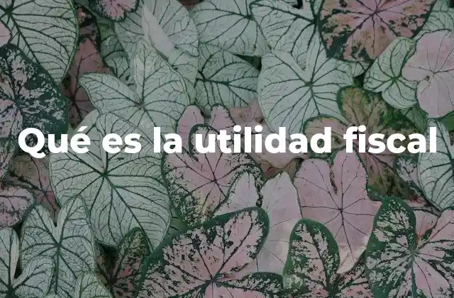 Qué es la Utilidad Fiscal 2 Diferencias entre utilidad contable y utilidad fiscal