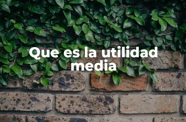 Que es la Utilidad Media