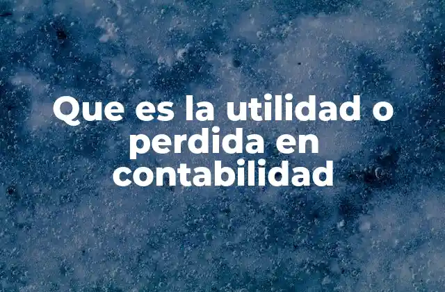 Que es la Utilidad o Perdida en Contabilidad