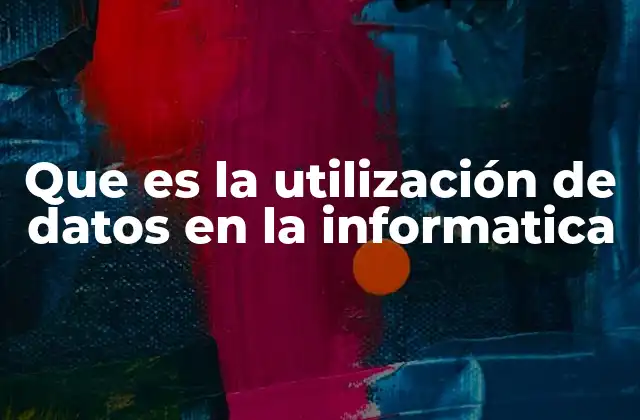 Que es la Utilización de Datos en la Informatica