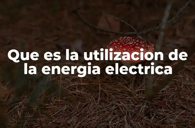 Que es la Utilizacion de la Energia Electrica 2 El papel de la energía eléctrica en el desarrollo tecnológico