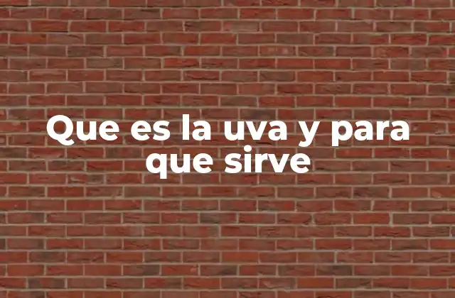 Que es la Uva y para que Sirve 2 La uva como alimento y fuente de bienestar