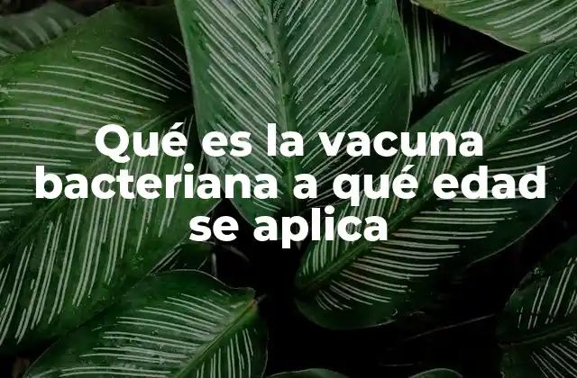 Qué es la Vacuna Bacteriana a Qué Edad Se Aplica