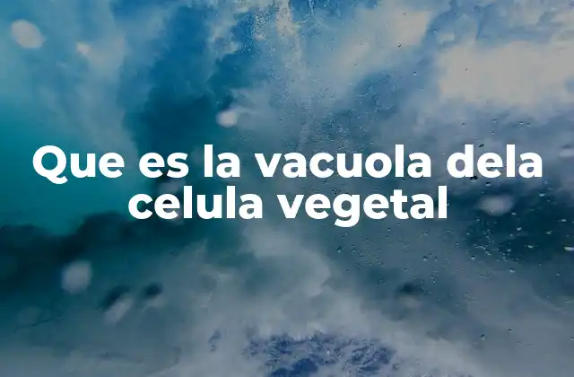 Estructura y componentes de la vacuola vegetal