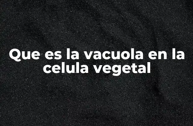 Que es la Vacuola en la Celula Vegetal