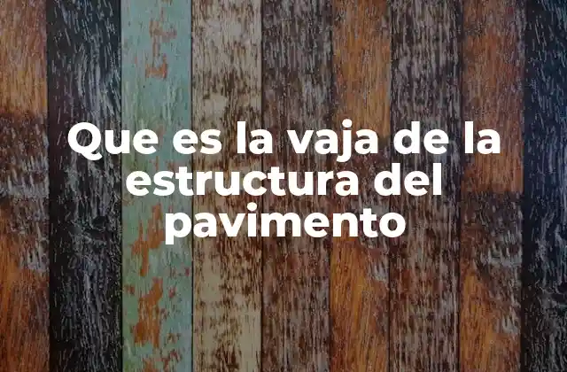 Que es la Vaja de la Estructura Del Pavimento