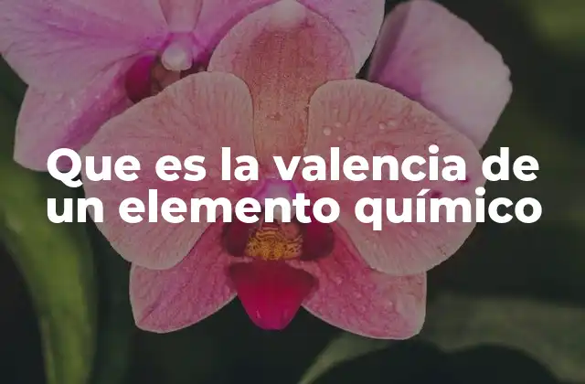 Que es la Valencia de un Elemento Químico