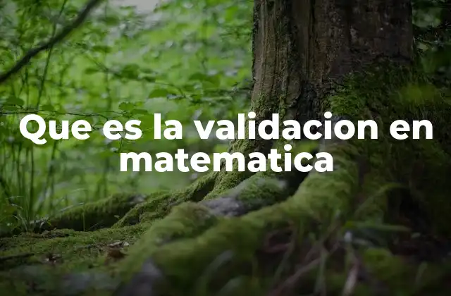 Que es la Validacion en Matematica