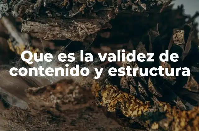 Que es la Validez de Contenido y Estructura