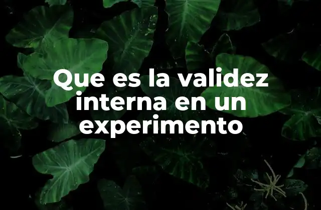 Que es la Validez Interna en un Experimento