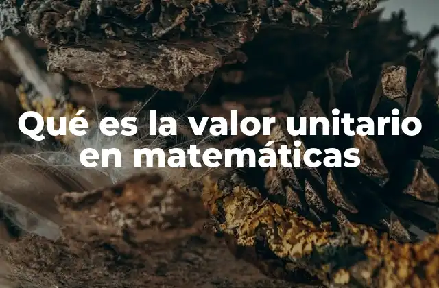 Qué es la Valor Unitario en Matemáticas