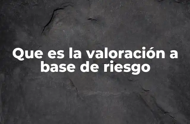 Que es la Valoración a Base de Riesgo