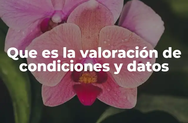 Que es la Valoración de Condiciones y Datos