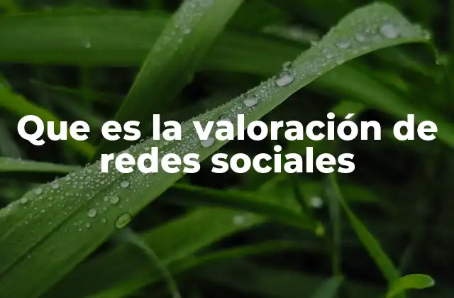 Que es la Valoración de Redes Sociales