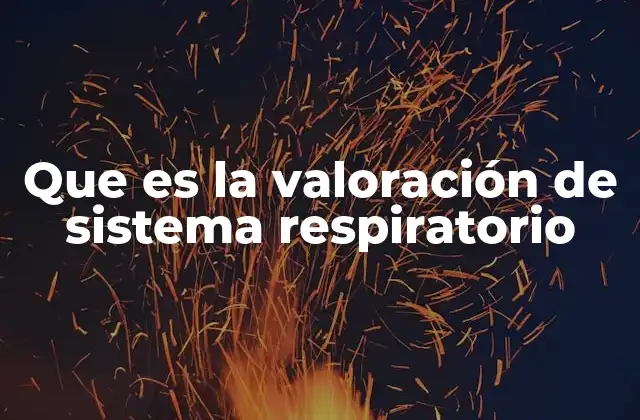 Procedimiento para evaluar la función respiratoria