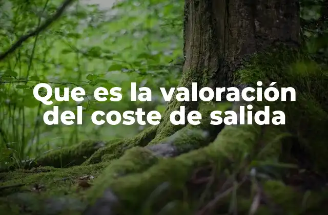 Que es la Valoración Del Coste de Salida