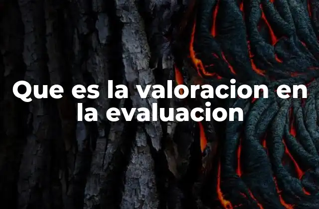 Que es la Valoracion en la Evaluacion