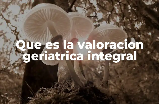 Que es la Valoracion Geriatrica Integral