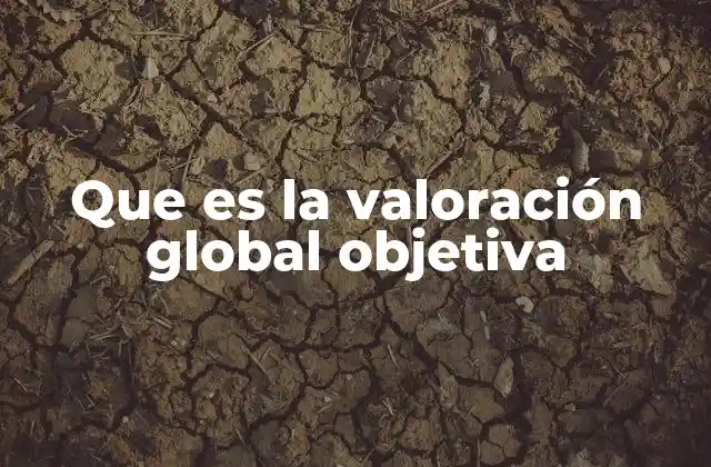 Que es la Valoración Global Objetiva