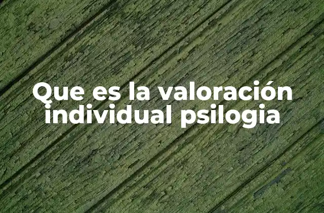 Que es la Valoración Individual Psilogia