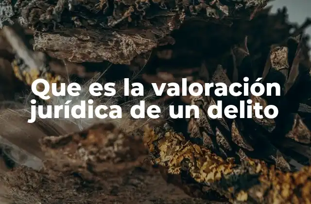 Que es la Valoración Jurídica de un Delito