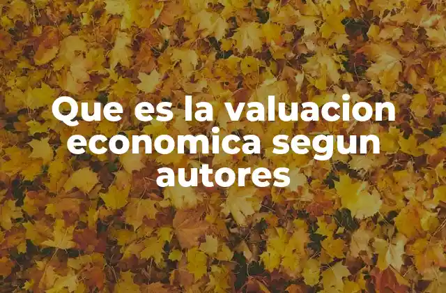 Que es la Valuacion Economica Segun Autores