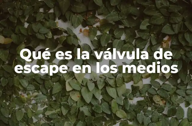 Qué es la Válvula de Escape en los Medios