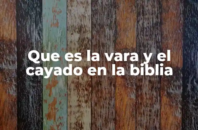 Que es la Vara y el Cayado en la Biblia