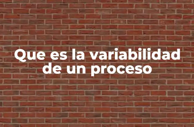 Que es la Variabilidad de un Proceso