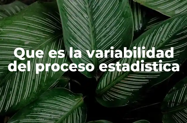 Que es la Variabilidad Del Proceso Estadistica