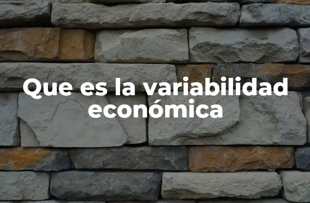 Que es la Variabilidad Económica