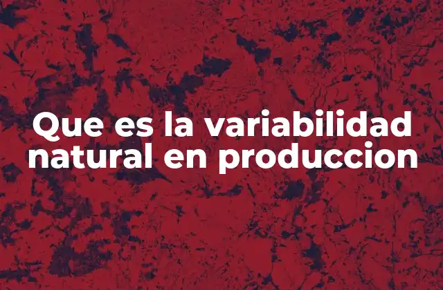 Que es la Variabilidad Natural en Produccion