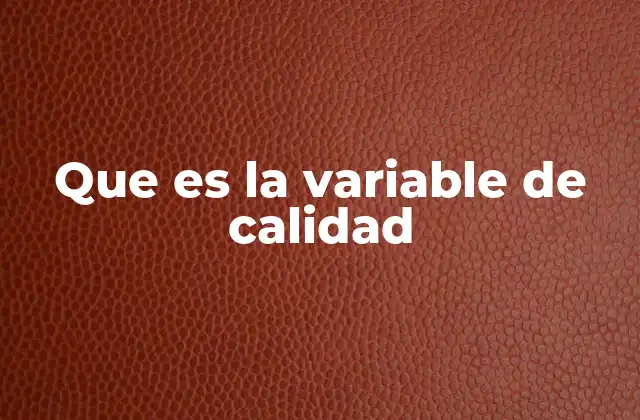 Que es la Variable de Calidad