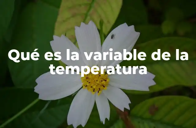 Qué es la Variable de la Temperatura