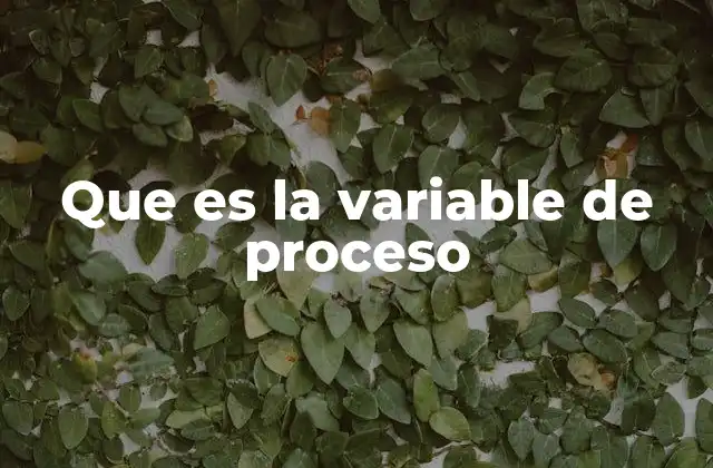 Que es la Variable de Proceso
