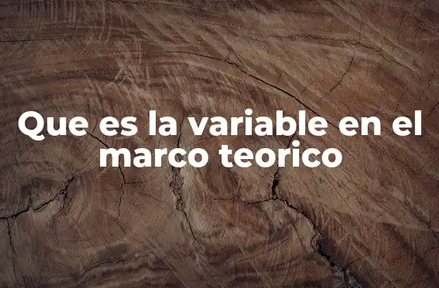 El rol de las variables en la construcción teórica
